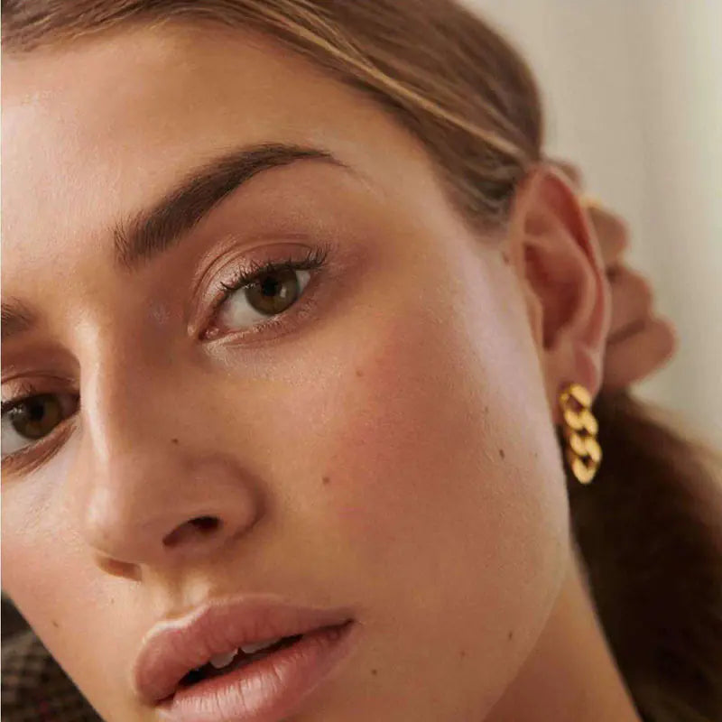 Hip Hop Style Stainless Steel Chunky Chain Earrings