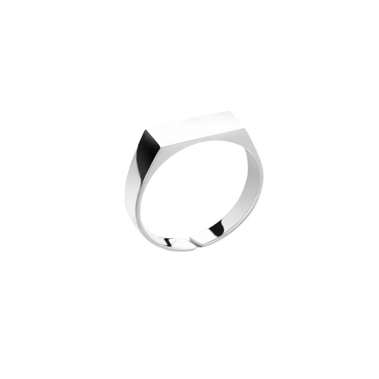 Slim Stainless Steel Ring