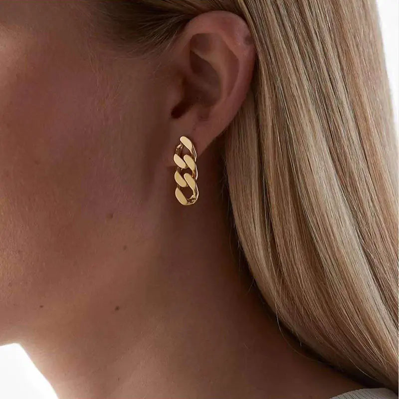 Hip Hop Style Stainless Steel Chunky Chain Earrings