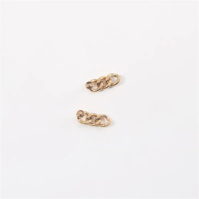 Hip Hop Style Stainless Steel Chunky Chain Earrings