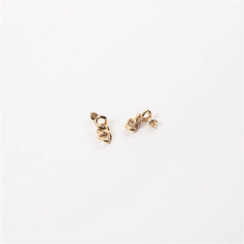 Hip Hop Style Stainless Steel Chunky Chain Earrings