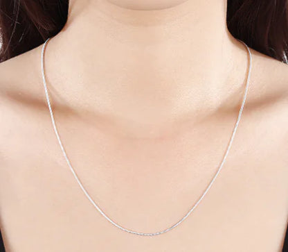 Stainless Steel Chain
